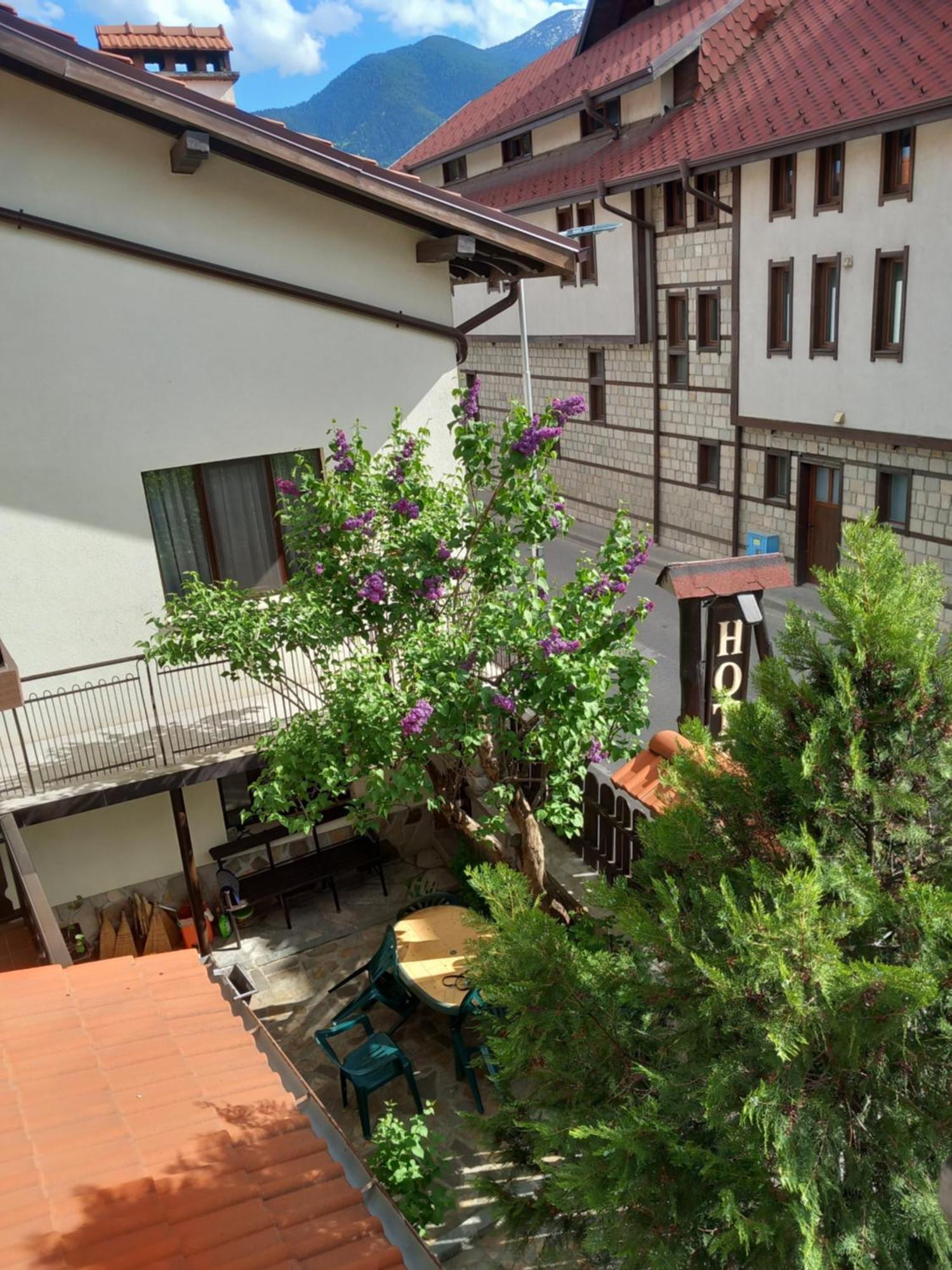 Guest House Skabrin Bansko Bagian luar foto